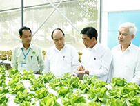 Đẩy mạnh ứng dụng khoa học công nghệ vào sản xuất nông nghiệp