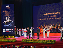 Ông Chu Tiến Dũng - Phó Bí thư Đảng ủy, Tổng Giám đốc Tổng Công ty được vinh danh và trao cúp Thánh Gióng năm 2016