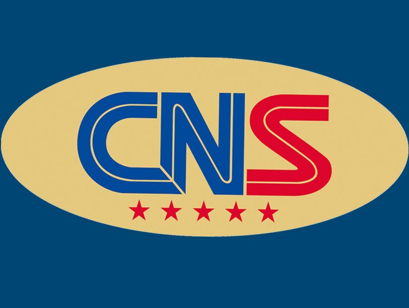 Báo cáo tài chính hợp nhất năm 2016 - CNS
